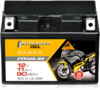 Motorradbatterie Panther GEL51013 12V/10 Ah