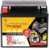 Motorradbatterie Panther GEL51012 12V/10 Ah